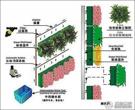 垂直綠化墻施工圖